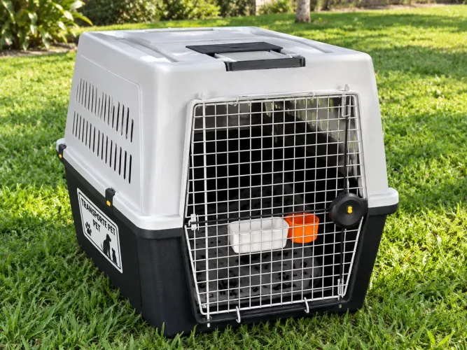Caixa de transporte Pet