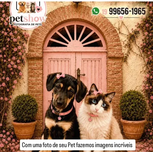 Enviei uma foto do seu Pet e faremos fotos memoráveis