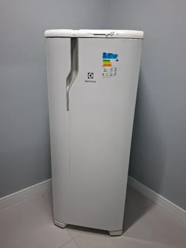 Geladeira Electrolux Cycle Defrost 240L (RE31)