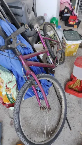 Bicicleta *