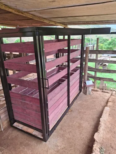 Gaiola com balança bovina 5 ton
