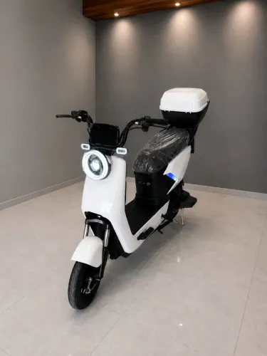 MODELO MAJIM STANDART