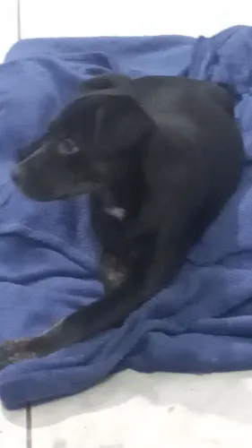 5 meses de vida