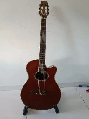 Violão Tagima