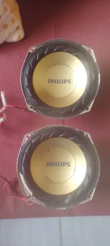 Auto falantes Philips 8 polegadas.