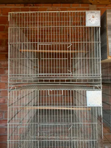 Vendo gaiolas voadeira