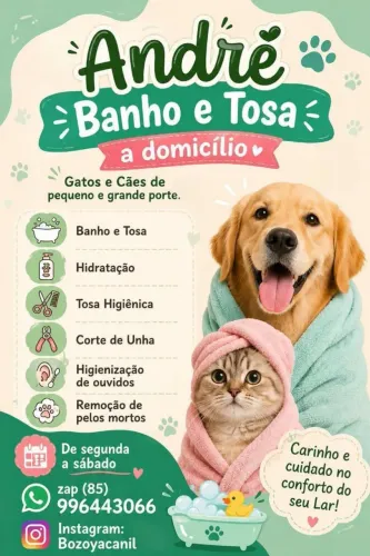 Banho e Tosa a Domicílio ?