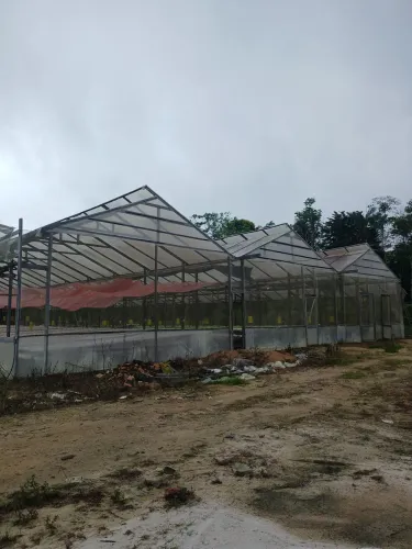 Vendo Hidroponia chácara sitio