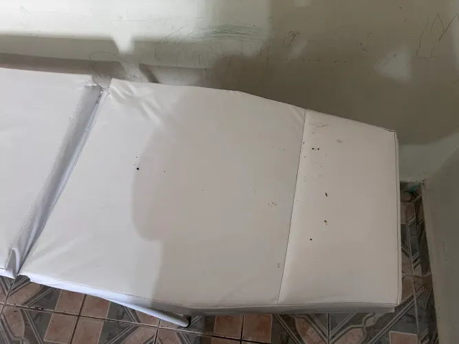 Maca mocho e lupa 