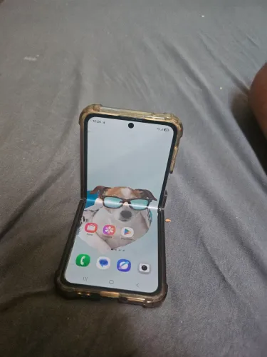 Celular