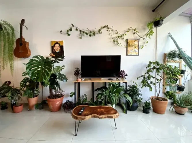 Quarto na Beira-Mar Norte
