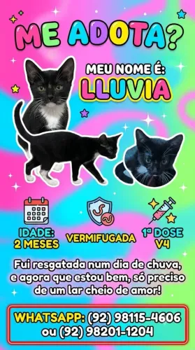 Doação