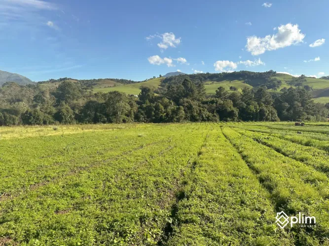 Sítio de 8,5 hectares em Bom Retiro, SC, com rio, nascente e cachoeira
