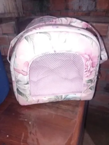 Caminha de cachorro