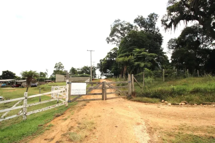 Chácara à venda Bairro Contenda em São José dos Pinhais