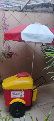 CARRINHO DE PICOLÉ COM GUARDA SOL