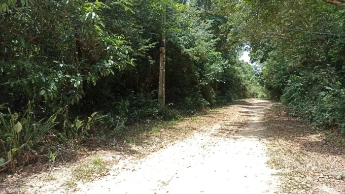 Vendo lotes na ilha de cotijuba 
