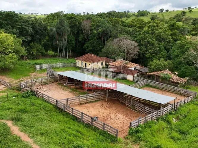 Fazenda 360 alqueires (1.742 hectares ) Catalao - GO