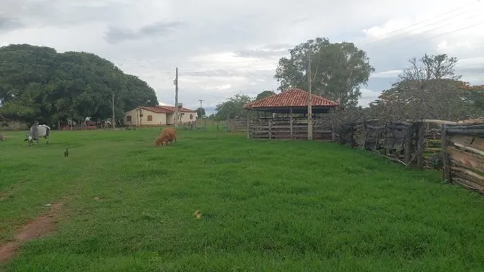 Vendo fazenda com 1.169 hectaresem Buritis-MG