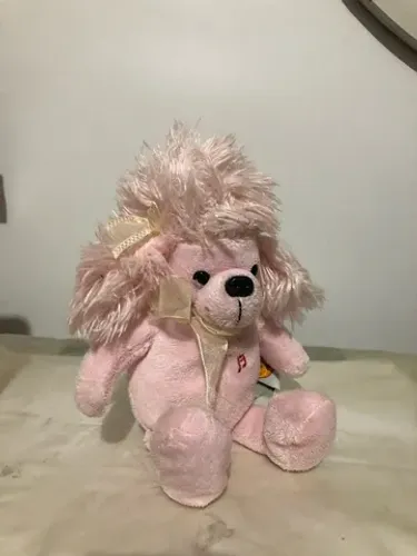 Lote urso