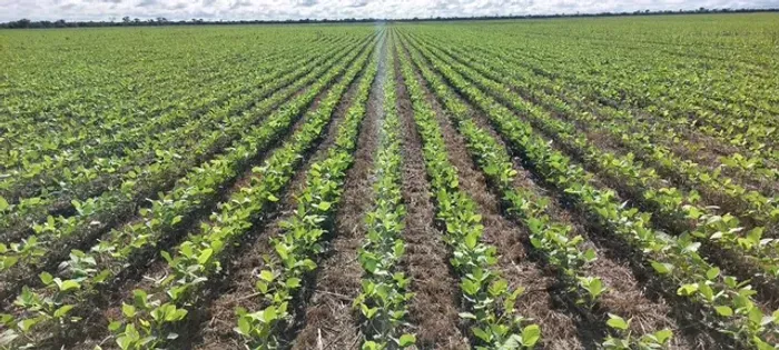 Fazenda de 389 hectares em Urucuia-MG
