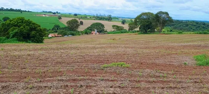 Sítio de 8.5 alqueires em Piracanjuba - GO