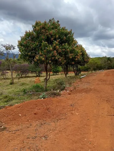 Chacaras no centro de serra azul mateus leme