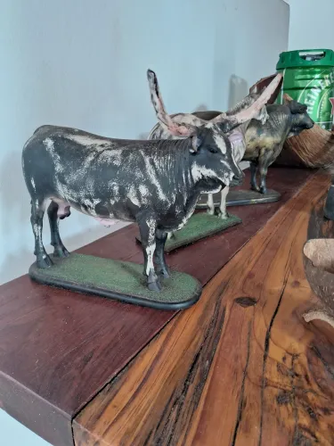 Touro Longhorn 