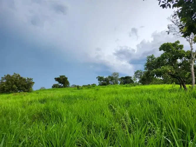 Fazenda em Taguatinga Tocantins 