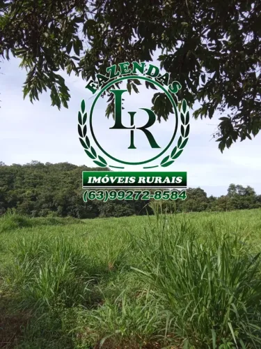 Chácara de 1.5 alqueires Próximo a Palmas