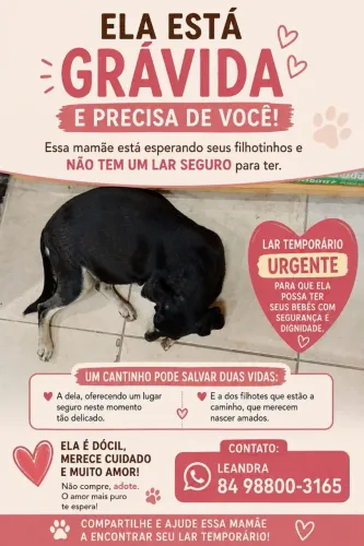 Adoção urgente