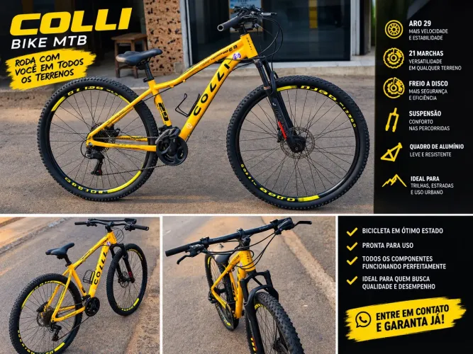 Bicicleta aro 29
