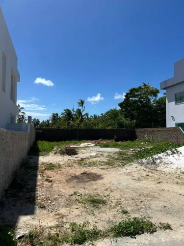LOTE NO CD. FRAGATTA - M.CC - SUL/LESTE - QUITADO - 262M² - VENDA -  [31991]