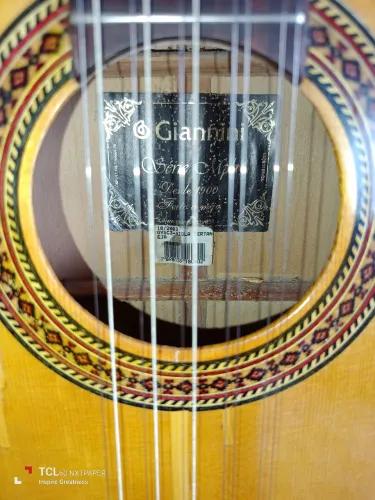VIOLA GIANNINI GVSC 3