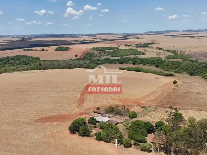 Fazenda 74 alqueires (358,16 hectares) Cezarina - Go