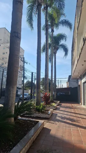 Terreno no juveve com área construída