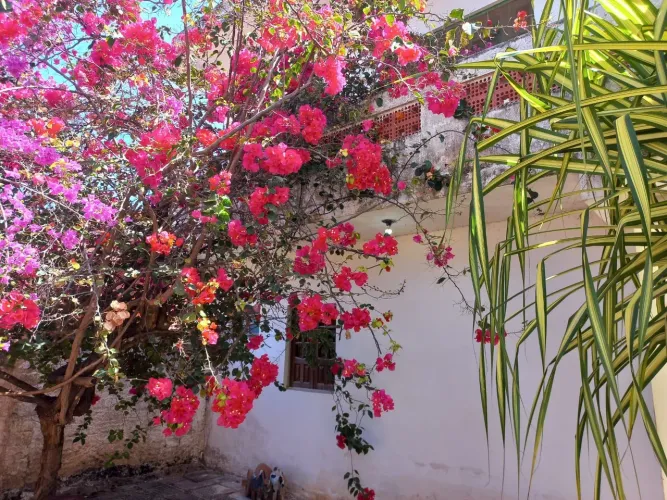 Pousada para vender ou alugar sao jose da coroa grande São José da Coroa Grande