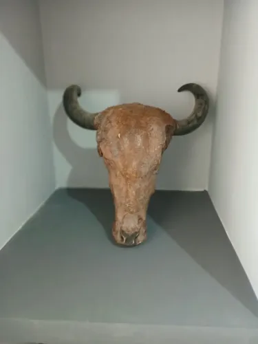 Cabeça de boi invernizada para decoração