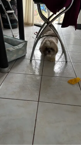 Doação