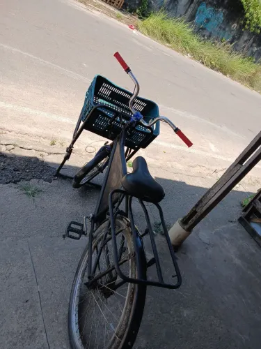Bicicleta cargueira
