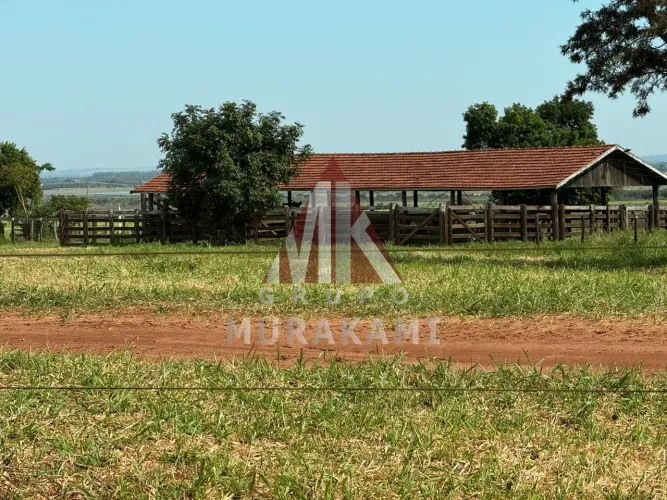 FAZENDA - QUERÊNCIA DO NORTE