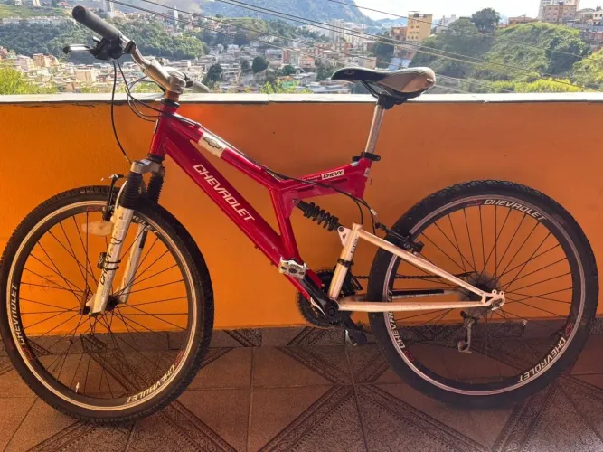 bicicleta 