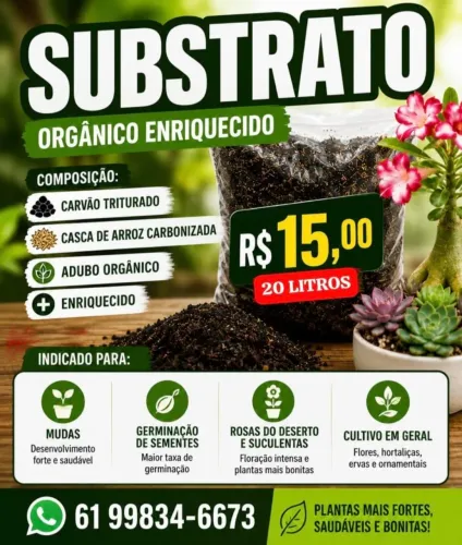 Substrato pronto enriquecido com Yoorin (fósforo) macro e micro nutrientes