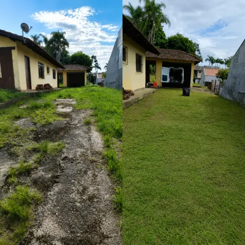 Limpeza de Quintal em Joinville