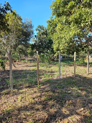 Terreno a venda no setor industrial em gurupi  entre em contato  muito  bom o valor sera  