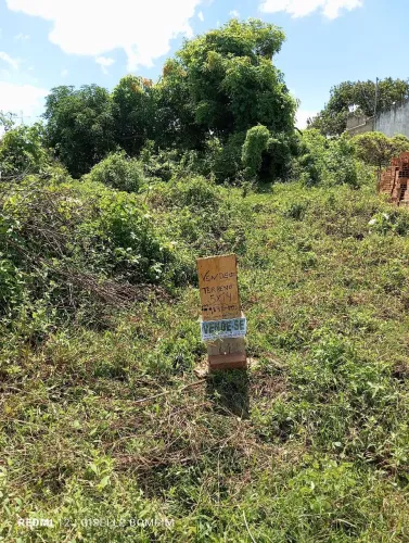 Vendo ou troco Terreno na Taiçoca de Dentro Maços Freire 3