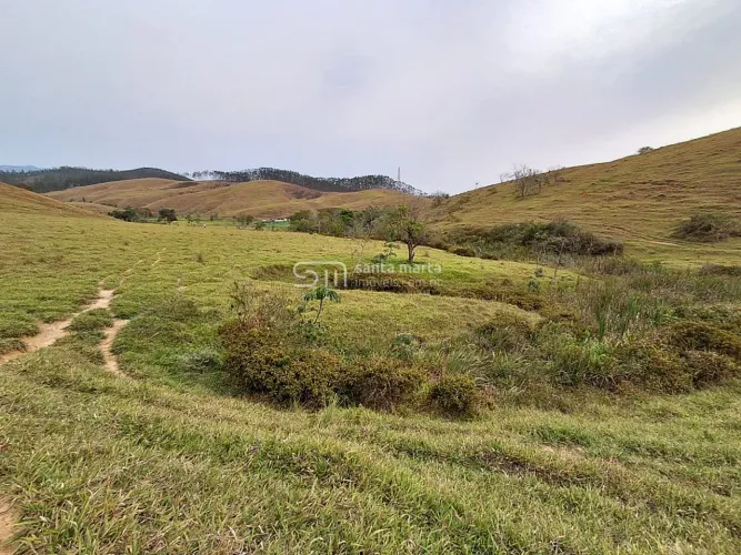 FAZENDA FANTÁSTICA - 30 HA EM VÁRZEA SECA SILVEIRAS SP