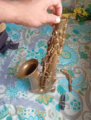 Sax alto mi bemol, usado 