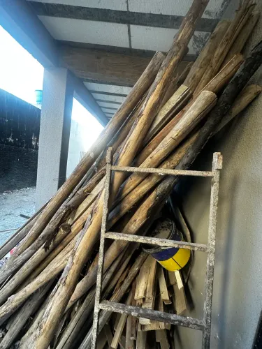 Taboa pau de escora madeirite