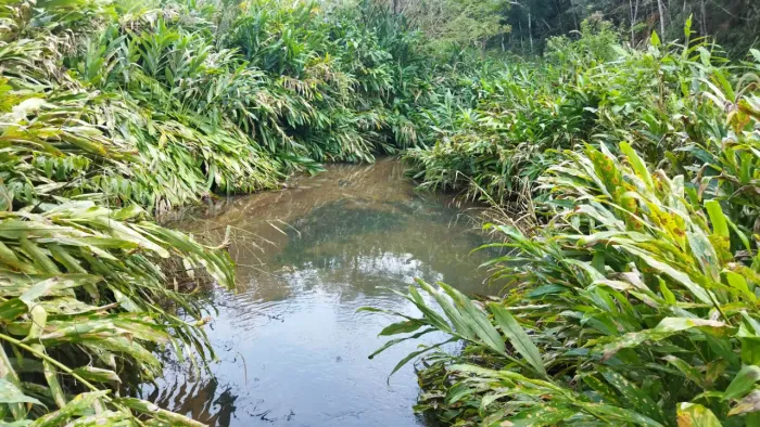 Parcela! Área rural Bateias 20.147m² lavoura, bosque, córrego, rio na divisa.